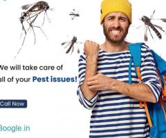 Pest Control Services in Bangalore - Keerthisecurity.in