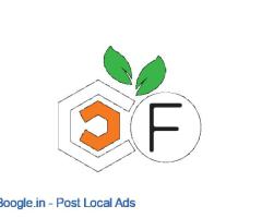 best digital marketing in india
